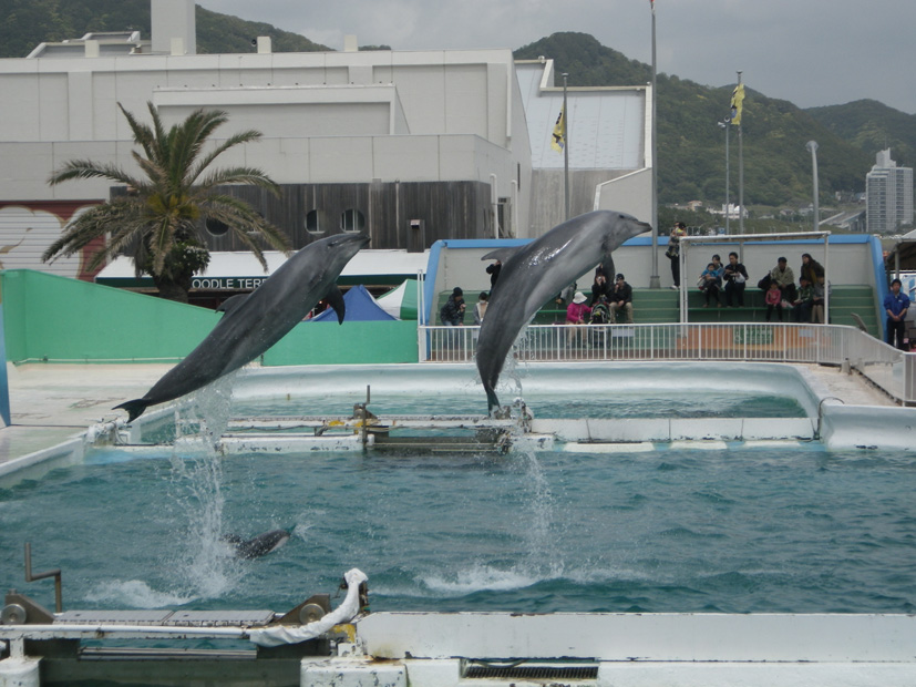 seaworld-b